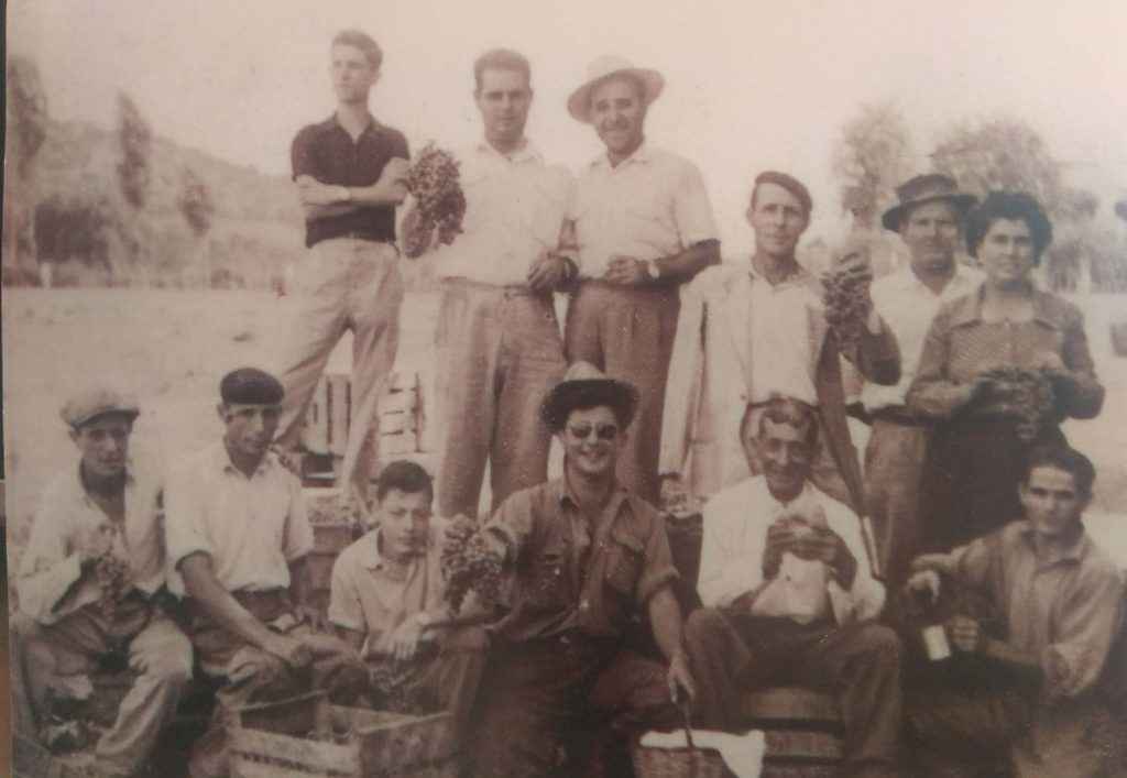 frutas candido lahoz